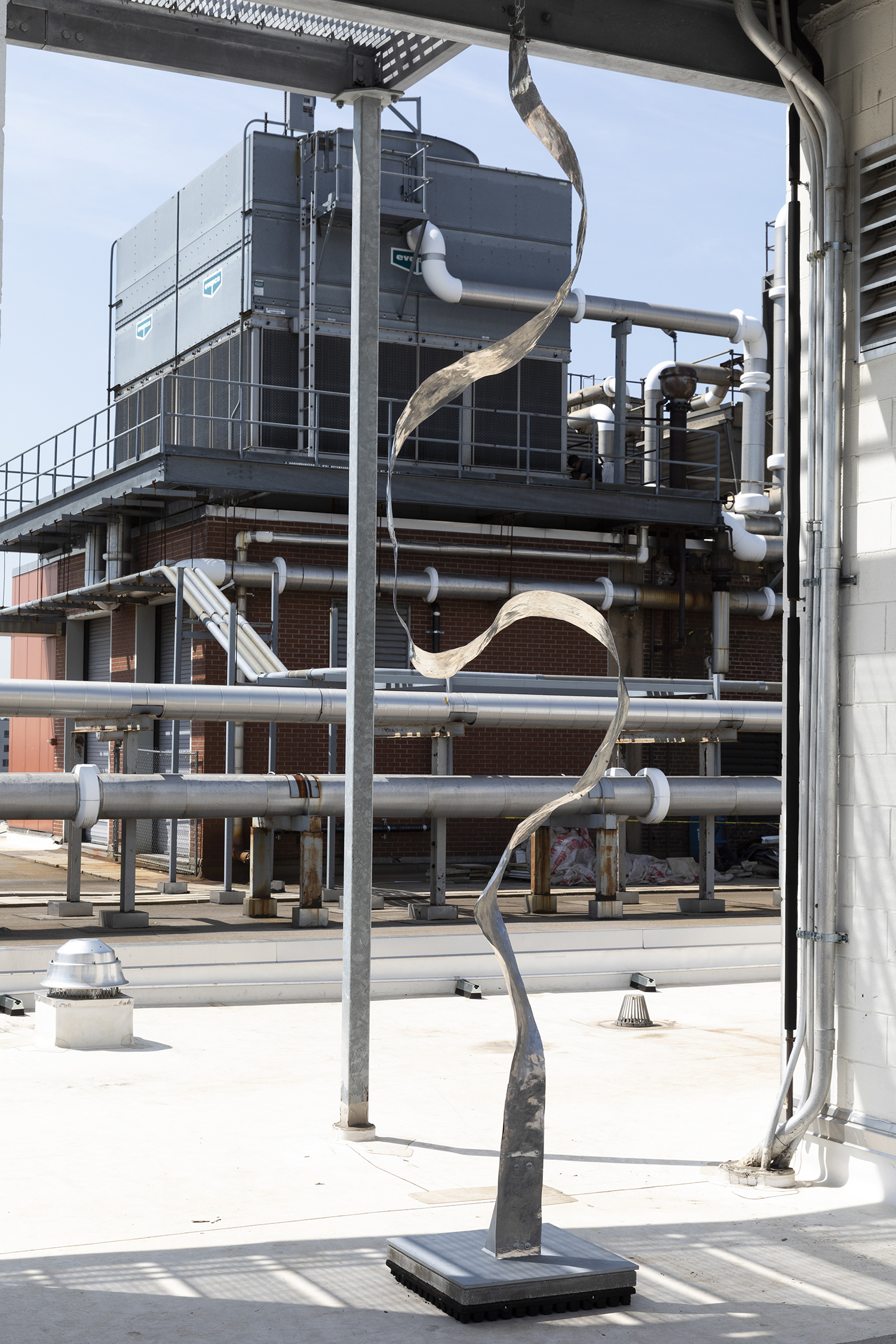 pfizer-roof346a1535-2